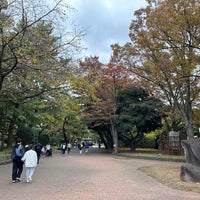 Photo taken at 平塚市総合公園 by Teddy on 11/11/2023