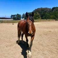 Photo taken at Presidio Calvary Stables by Paige A. on 5/27/2018