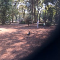 Photo taken at Parque para perros - Parque de los Venados by Inti A. on 11/25/2017