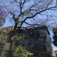 Photo taken at Colonia Postal by Inti A. on 3/27/2019