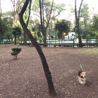 Photo taken at Parque para perros - Parque de los Venados by Inti A. on 12/1/2018