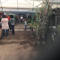 Photo taken at Vivero Xochimilco by Inti A. on 11/26/2017