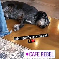 Photo taken at Cafe Rebel by ѕαвα ç. on 1/23/2022