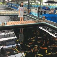 Photo taken at บางกอกฟาร์มปลาสวยงาม by Mummy S. on 7/8/2017