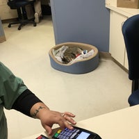 3/10/2018에 Debrah B.님이 Dutch Fork Animal Hospital에서 찍은 사진