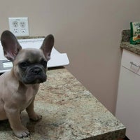 Photo taken at Cy-Fair Pet Clinic by Shorty L. on 2/26/2016