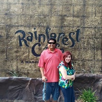 Photo taken at Rainforest Cafe by Frank C. on 7/10/2017