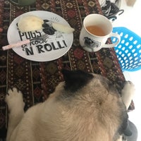 Photo taken at Lillie The Business Pug by Phraviii on 2/3/2018