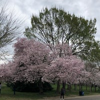 Photo taken at Tidal Basin by Abdulmohsen 🌴 on 3/25/2020