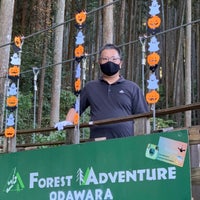 フォレストアドベンチャー 小田原 Athletics Sports In 小田原市
