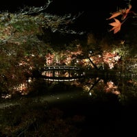 Photo taken at Eikando Zenrin-ji by やすぽん on 11/21/2015