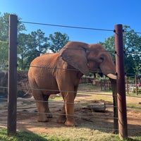 Photo taken at Zoo Atlanta by geraine m. on 7/8/2023