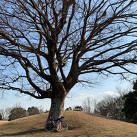 ちはら台公園 Parque ちはら台公園 Parque