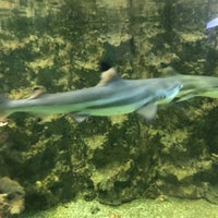 Foto diambil di Tropical Aquarium Krk oleh Gabor K. pada 8/15/2018