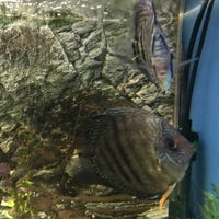 Foto diambil di Tropical Aquarium Krk oleh Gabor K. pada 8/15/2018