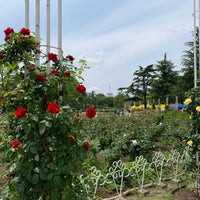 Photo taken at 鶴舞公園 バラ園 by naoto . on 5/5/2019