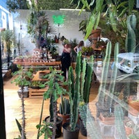 Photo taken at Plant Shop Chicago by Marissa C. on 7/21/2020