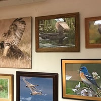 Photo taken at Audubon Society of Portland by Tammy S. on 11/14/2016
