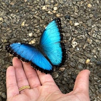 Photo taken at Dubai Butterfly Garden حديقة دبي للفراشات by Woroud A. on 1/5/2024