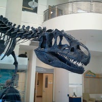 รูปภาพถ่ายที่ Virginia Museum of Natural History โดย Rachel P. เมื่อ 2/9/2013