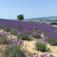 かみふらの 日の出ラベンダー園 かみふらの 日の出ラベンダー園