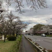 Photo taken at 大学通り by お一人様【春】 on 3/24/2023
