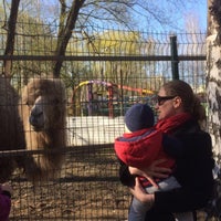 Photo taken at Зоопарк в ЦПКиО by Екатерина Алексеевна on 5/4/2016