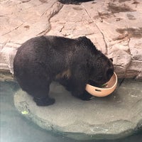 Photo taken at Reid Park Zoo by Coqui C. on 8/26/2019