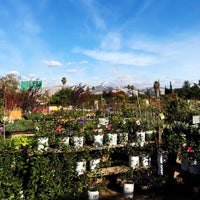 Payless Hardware Rockery Nursery Construction Landscaping In Evergreen