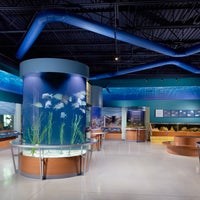 รูปภาพถ่ายที่ South Florida Science Center and Aquarium โดย South Florida Science Center and Aquarium เมื่อ 8/9/2017