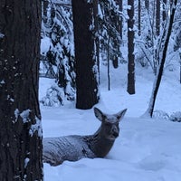 Photo taken at Оленья ферма by Владислав👑 В. on 1/26/2019