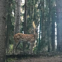 Photo taken at Оленья ферма by Владислав👑 В. on 8/19/2018