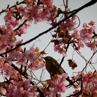 Photo taken at Machida by meiyun on 2/18/2017