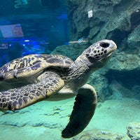 Photo taken at 名古屋港水族館スタジアム by とり ☀. on 12/31/2022
