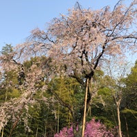 Photo taken at 戸定邸 庭園 by loveyinglei on 4/7/2019