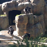 Photo taken at Chimpanzees of Mahale Mountains by Inga S. on 7/11/2014