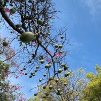 Photo taken at Plaza Inmigrantes de Armenia by Anna E. on 5/9/2023