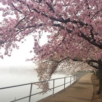 Photo taken at Tidal Basin by Fanni L. on 3/27/2017