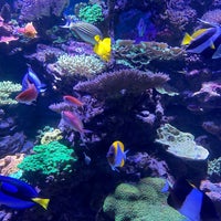 Photo taken at New York Aquarium by Allison C. on 3/13/2024