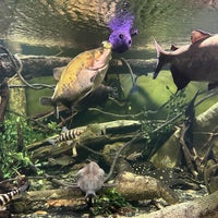 Снимок сделан в New York Aquarium пользователем Allison C. 3/13/2024