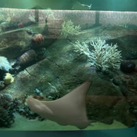 Das Foto wurde bei New York Aquarium von Allison C. am 4/15/2024 aufgenommen