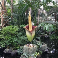 Photo taken at Enid A. Haupt Conservatory by Nick T. on 7/29/2016