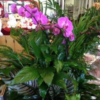 Photo taken at Flowers By Sophia by Michael F. on 2/14/2013