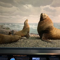 Photo taken at American Museum of Natural History by Cindy W. on 9/8/2019