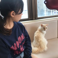 麻生 猫カフェ 福猫茶房 北区北40条西5 1 39