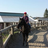 モモセライディングファーム 札幌市 北海道