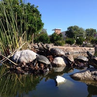 Photo taken at CSUN Fish And Duck Pond by Matt S. on 4/5/2014