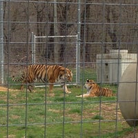 wisconsin big cat rescue education center 305 pine st