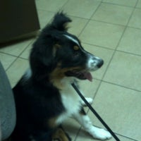 Photo taken at Brown Animal Clinic by Michael H. on 7/20/2012