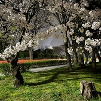 Photo taken at Meijo Park by toshi i. on 4/6/2024